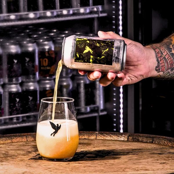 Cerveja Trilha Melonrise 350ml NE IPA Artesanal Premium - Imagem 2