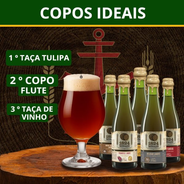 Cerveja 1824 Imigração Belgian Lambic 375ml Artesanal - Imagem 4