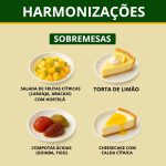 Cerveja 1824 Imigração Gueuze Lambic 375ml Sour Ale Artesanal - Imagem 6