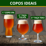 Cerveja Dr.Ewam Mandarina Juicy APA 473ml - Imagem 4