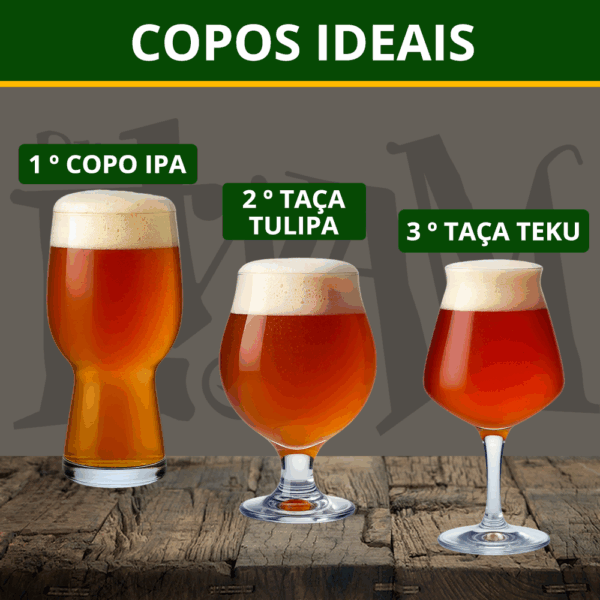 Cerveja Dr.Ewam Mandarina Juicy APA 473ml - Imagem 4