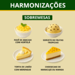 Cerveja Dogma Hazy IPA 355ml 6,2% Tropical e Frutada - Imagem 6