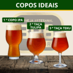 Kit 3 Cervejas American IPA Artesanais - Imagem 6
