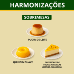 Cerveja 806 Cream Ale Lata 473ml Cerveja Artesanal - Imagem 6