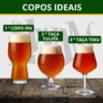 Kit Cervejas Dr.ewam Degustação IPA, APA e Stout - Imagem 7