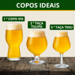 Cerveja Japas Neko IPA American IPA 310ml - Imagem 4