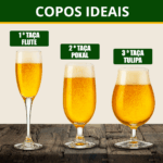 Cerveja Japas Matsurika Pilsener 310ml - Imagem 5