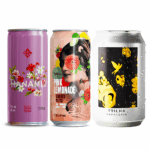 Kit 3 Cervejas Sour e Witbier Frutadas Premium