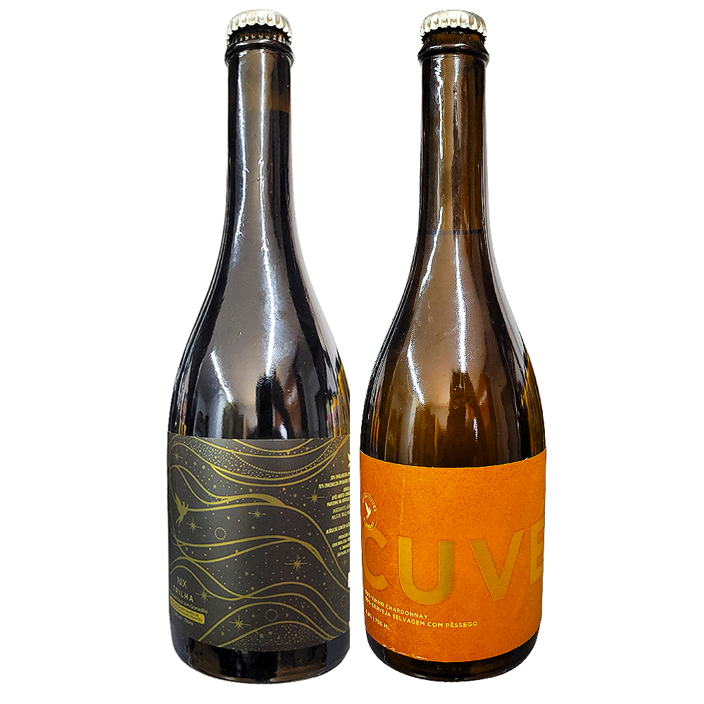 df820e61716480e2af04097fa61efe94.png Kit Cerveja & Vinho Experience 2 Garrafas - Imagem 1