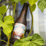 Cerveja Lohn Bier IPA Serra do Rio do Rastro 355ml - Imagem 2