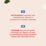 Cerveja Japas Saudade Natsukashii Saison 473ml - Imagem 3